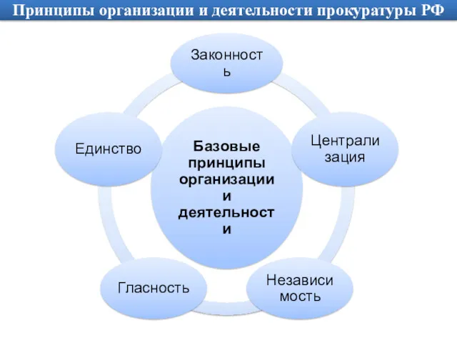 Принципы организации и деятельности прокуратуры РФ