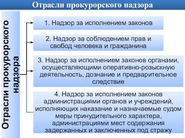 Отрасли прокурорского надзора