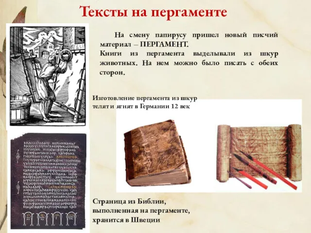 Тексты на пергаменте Страница из Библии, выполненная на пергаменте, хранится в Швеции Изготовление