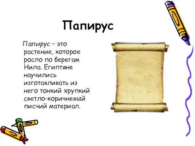 Папирус Папирус – это растение, которое росло по берегам Нила. Египтяне научились изготавливать