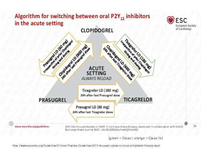 (green = Class I; orange = Class IIb) https://www.escardio.org/Guidelines/Clinical-Practice-Guidelines/2017-focused-update-on-dual-antiplatelet-therapy-dapt