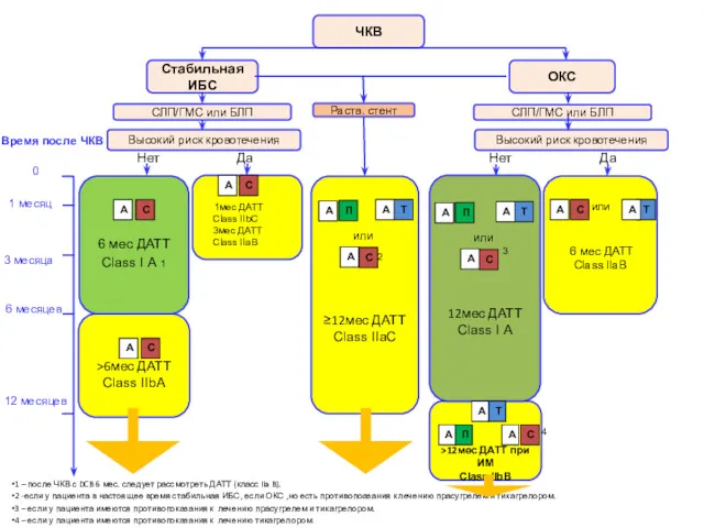 >12мес ДАТТ при ИМ Class IIbB 1 – после ЧКВ