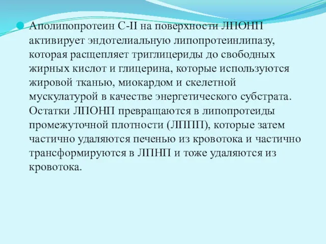 Аполипопротеин C-II на поверхности ЛПОНП активирует эндотелиальную липопротеинлипазу, которая расщепляет