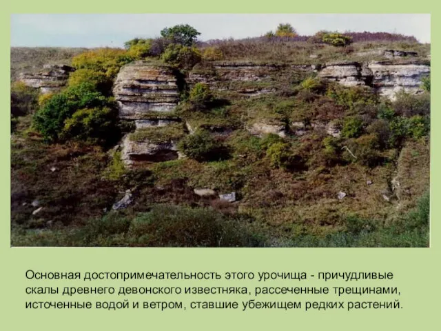 Основная достопримечательность этого урочища - причудливые скалы древнего девонского известняка, рассеченные трещинами, источенные