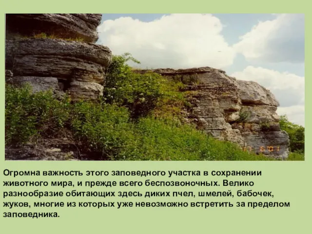 Огромна важность этого заповедного участка в сохранении животного мира, и прежде всего беспозвоночных.