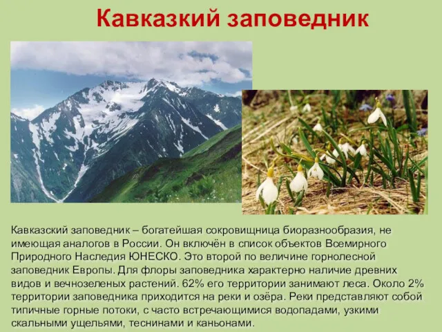Кавказкий заповедник Кавказский заповедник – богатейшая сокровищница биоразнообразия, не имеющая аналогов в России.