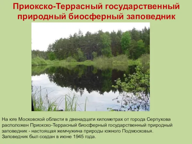 Приокско-Террасный государственный природный биосферный заповедник На юге Московской области в