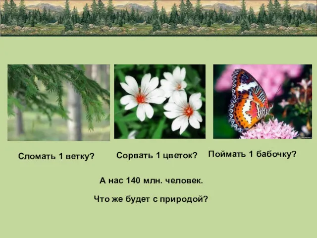 Сломать 1 ветку? Сорвать 1 цветок? Поймать 1 бабочку? А нас 140 млн.