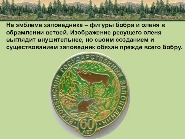 На эмблеме заповедника – фигуры бобра и оленя в обрамлении ветвей. Изображение ревущего