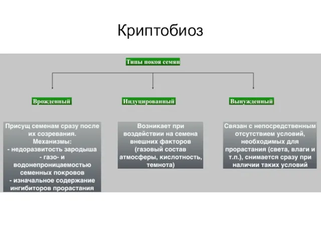 Криптобиоз