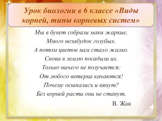 Мы в букет собрали маки жаркие, Много незабудок голубых. А