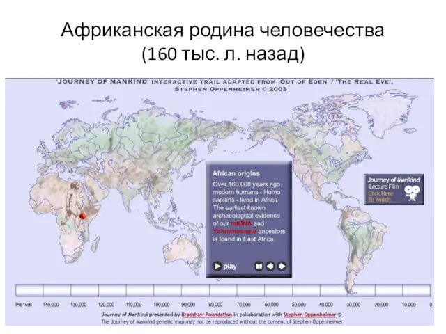 Африканская родина человечества (160 тыс. л. назад)