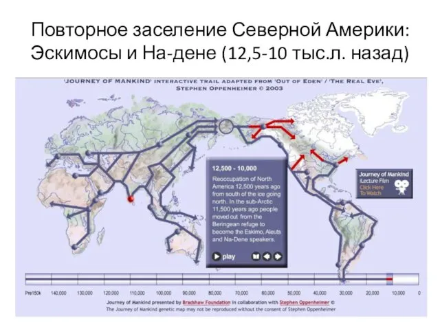 Повторное заселение Северной Америки: Эскимосы и На-дене (12,5-10 тыс.л. назад)