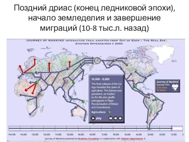 Поздний дриас (конец ледниковой эпохи), начало земледелия и завершение миграций (10-8 тыс.л. назад)