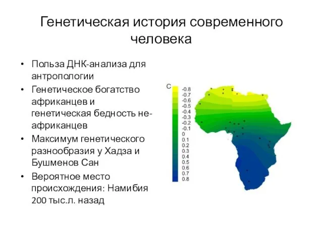Генетическая история современного человека Польза ДНК-анализа для антропологии Генетическое богатство