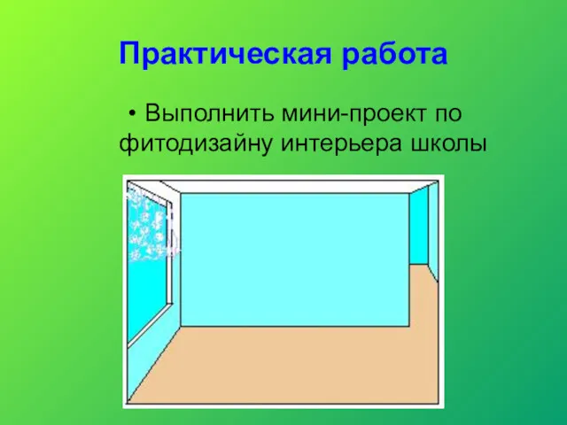 Практическая работа Выполнить мини-проект по фитодизайну интерьера школы