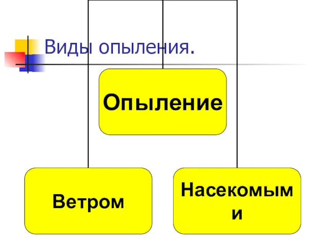 Виды опыления.