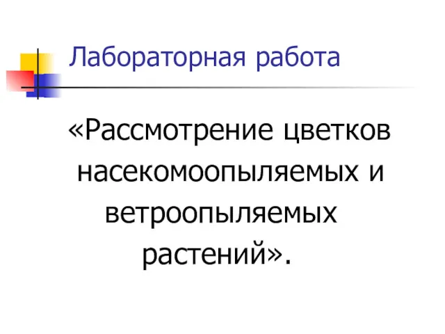 Лабораторная работа «Рассмотрение цветков насекомоопыляемых и ветроопыляемых растений».