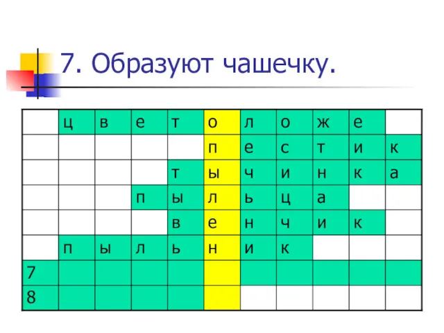 7. Образуют чашечку.