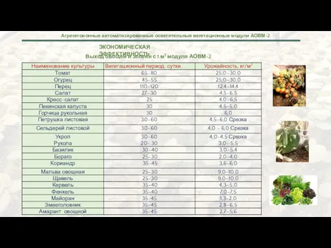 ЭКОНОМИЧЕСКАЯ ЭФФЕКТИВНОСТЬ Выход овощей и зелени с 1 м2 модуля АОВМ-2