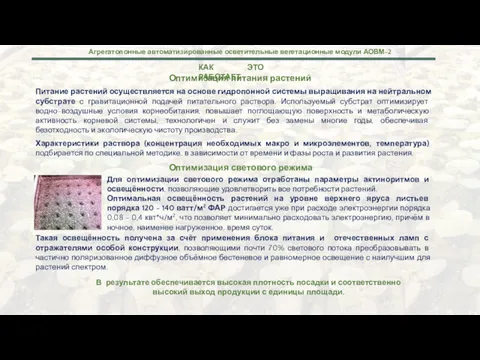 КАК ЭТО РАБОТАЕТ Питание растений осуществляется на основе гидропонной системы выращивания на нейтральном