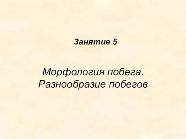 Морфология побега. Разнообразие побегов Занятие 5