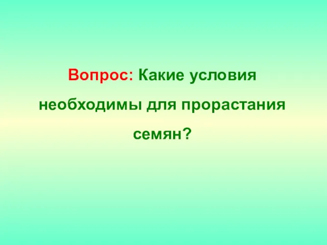 Вопрос: Какие условия необходимы для прорастания семян?