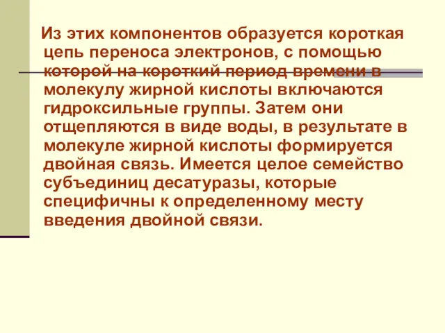 Из этих компонентов образуется короткая цепь переноса электронов, с помощью