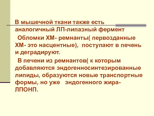 В мышечной ткани также есть аналогичный ЛП-липазный фермент Обломки ХМ-