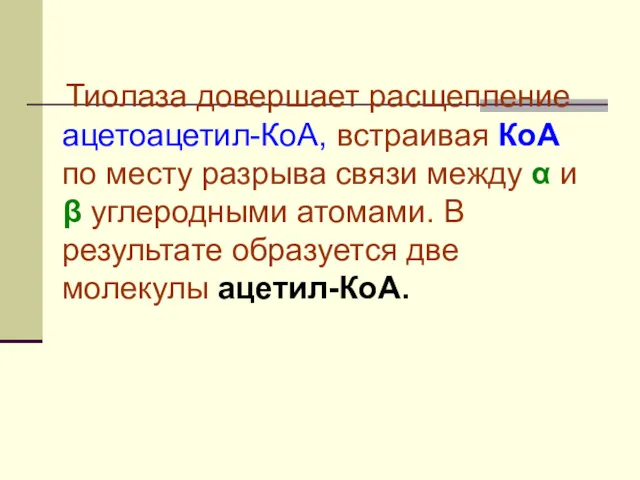 Тиолаза довершает расщепление ацетоацетил-КоА, встраивая КоА по месту разрыва связи