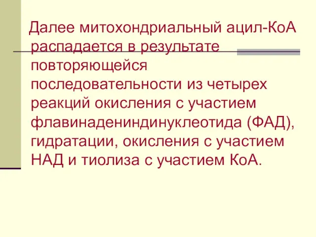 Далее митохондриальный ацил-КоА распадается в результате повторяющейся последовательности из четырех