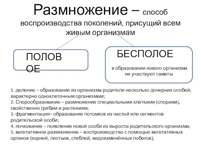 Размножение – способ воспроизводства поколений, присущий всем живым организмам ПОЛОВОЕ