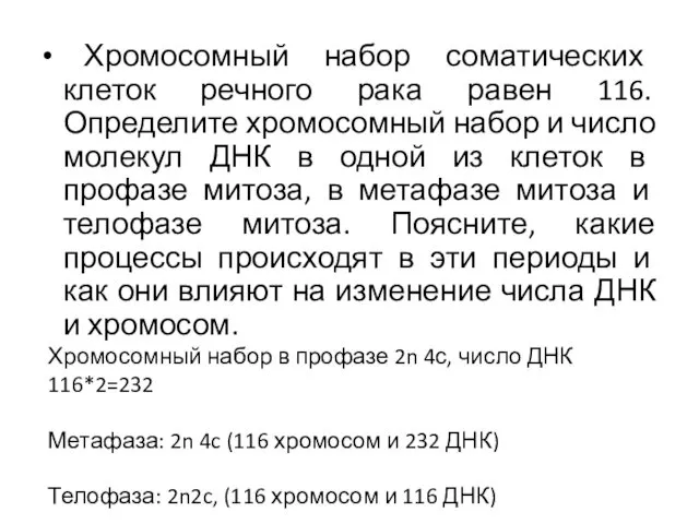 Хромосомный набор соматических клеток речного рака равен 116. Определите хромосомный