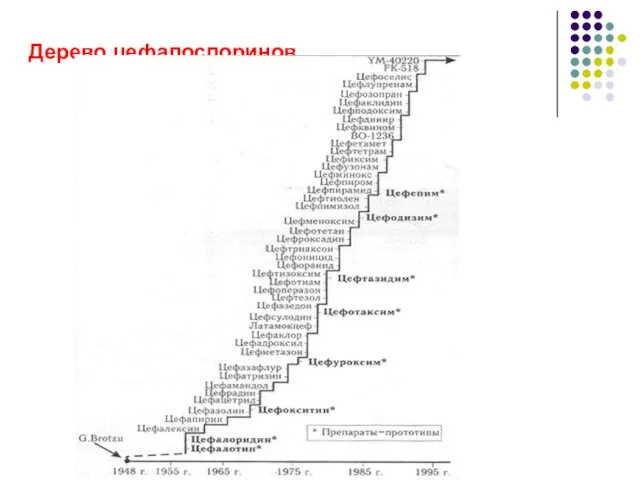 Дерево цефалоспоринов