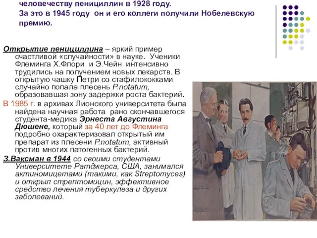 Эру антибиотиков открыл Александр Флеминг, подарив человечеству пенициллин в 1928