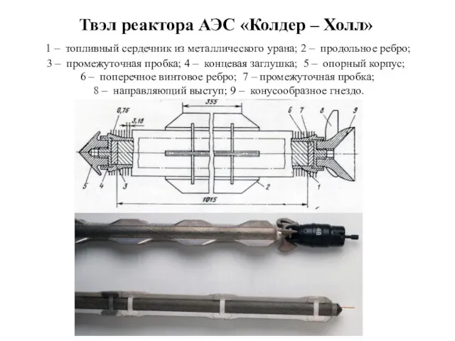 Твэл реактора АЭС «Колдер – Холл» 1 – топливный сердечник