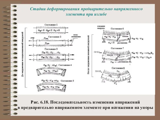 Стадии деформирования предварительно напряженного элемента при изгибе Рис. 6.18. Последовательность