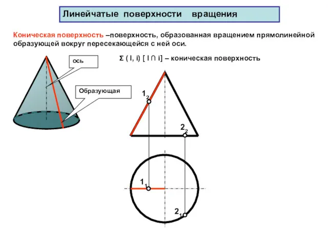 Линейчатые поверхности вращения Коническая поверхность –поверхность, образованная вращением прямолинейной образующей