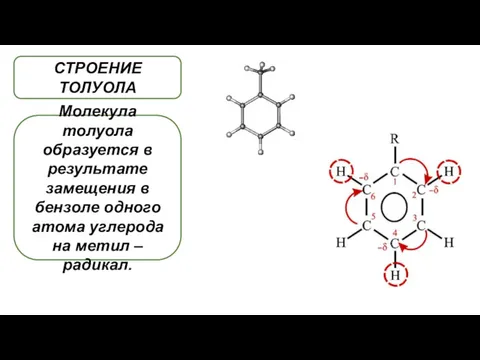 СТРОЕНИЕ ТОЛУОЛА Молекула толуола образуется в результате замещения в бензоле одного атома углерода