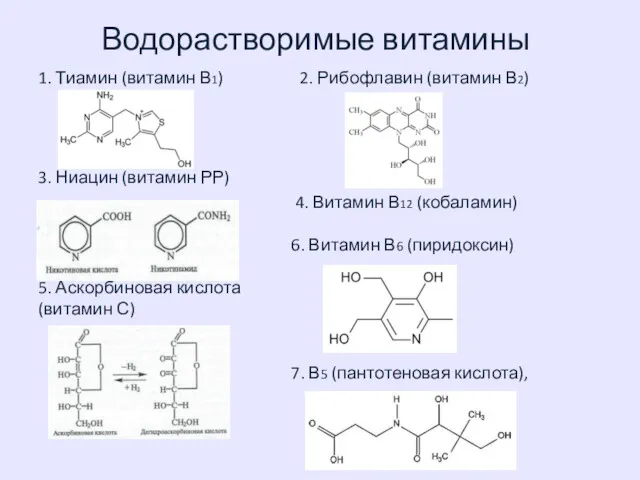 Водорастворимые витамины 1. Тиамин (витамин В1) 2. Рибофлавин (витамин В2)