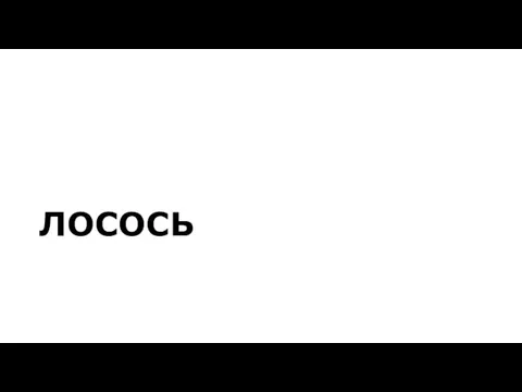 ЛОСОСЬ