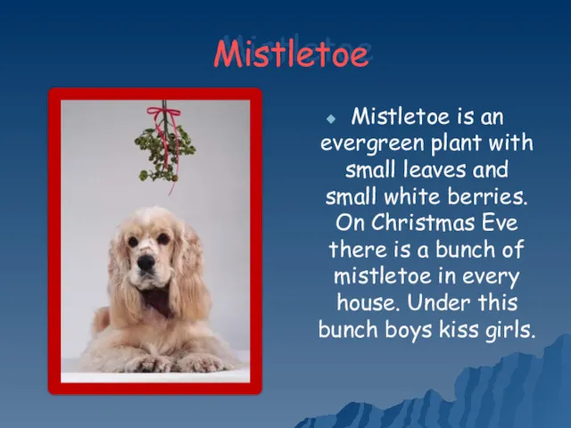 Mistletoe Mistletoe is an evergreen plant with small leaves and small white berries.