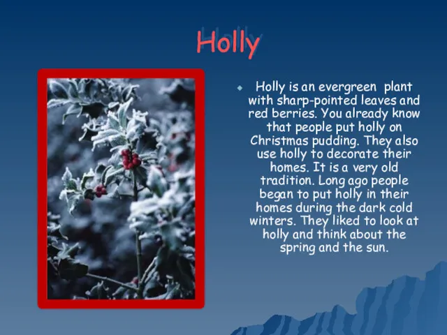 Holly Holly is an evergreen plant with sharp-pointed leaves and red berries. You