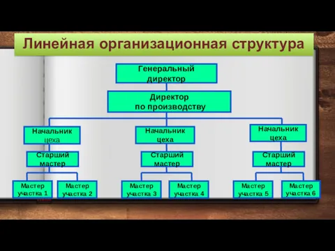 Линейная организационная структура