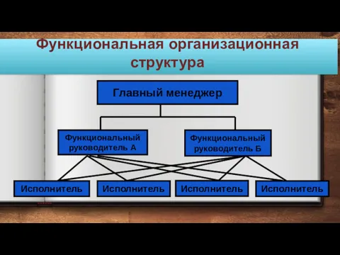 Функциональная организационная структура