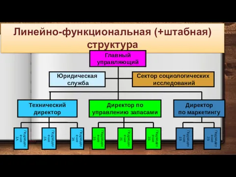 Линейно-функциональная (+штабная) структура