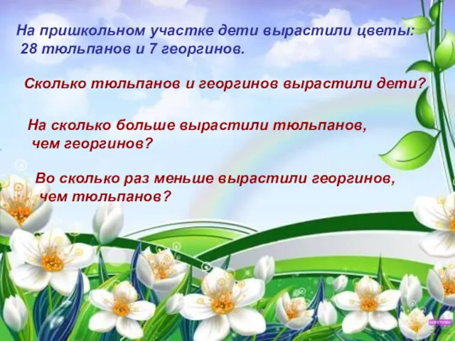 На пришкольном участке дети вырастили цветы: 28 тюльпанов и 7