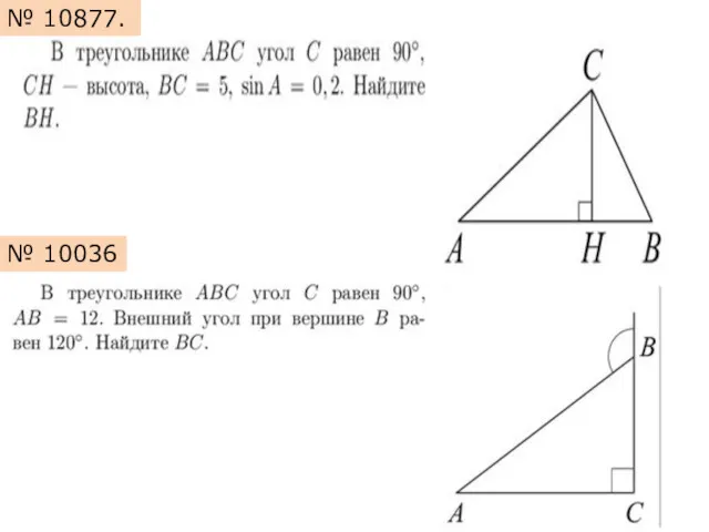 № 10877. № 10036