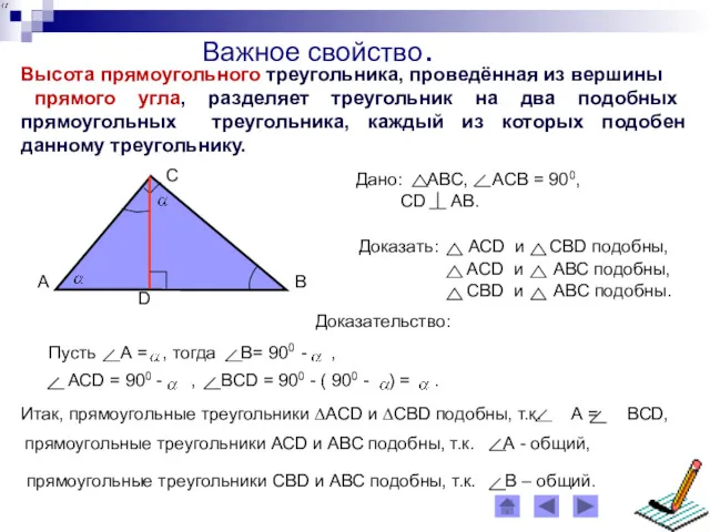 Важное свойство. Высота прямоугольного треугольника, проведённая из вершины прямого угла,