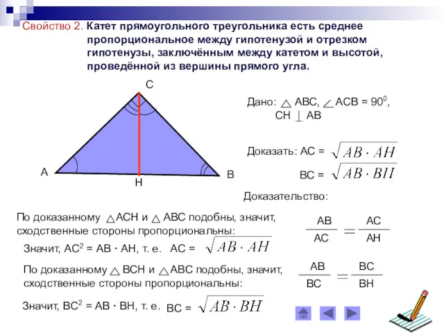 Свойство 2. Катет прямоугольного треугольника есть среднее пропорциональное между гипотенузой